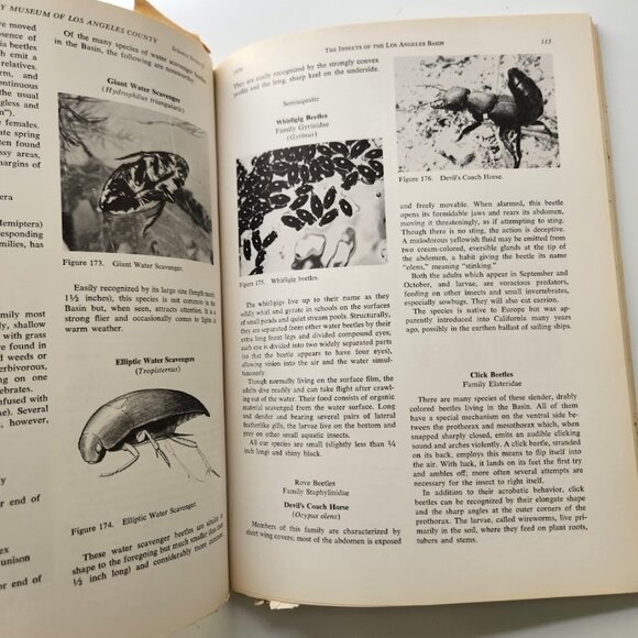 The Insects of the Los Angeles Basin Vintage Book by Charles L. Hogue 19… - Picture 5 of 16